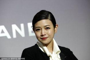 公子型明星,翩翩风度，魅力四溢的娱乐圈新宠